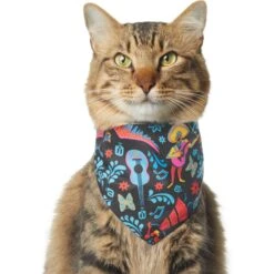 Pixar Coco Remember Me Dog & Cat Bandana 11 Pixar Coco Remember Me Dog & Cat Bandana -Blue Buffalo Shop 335293 PT2. AC SS1800 V1657656987