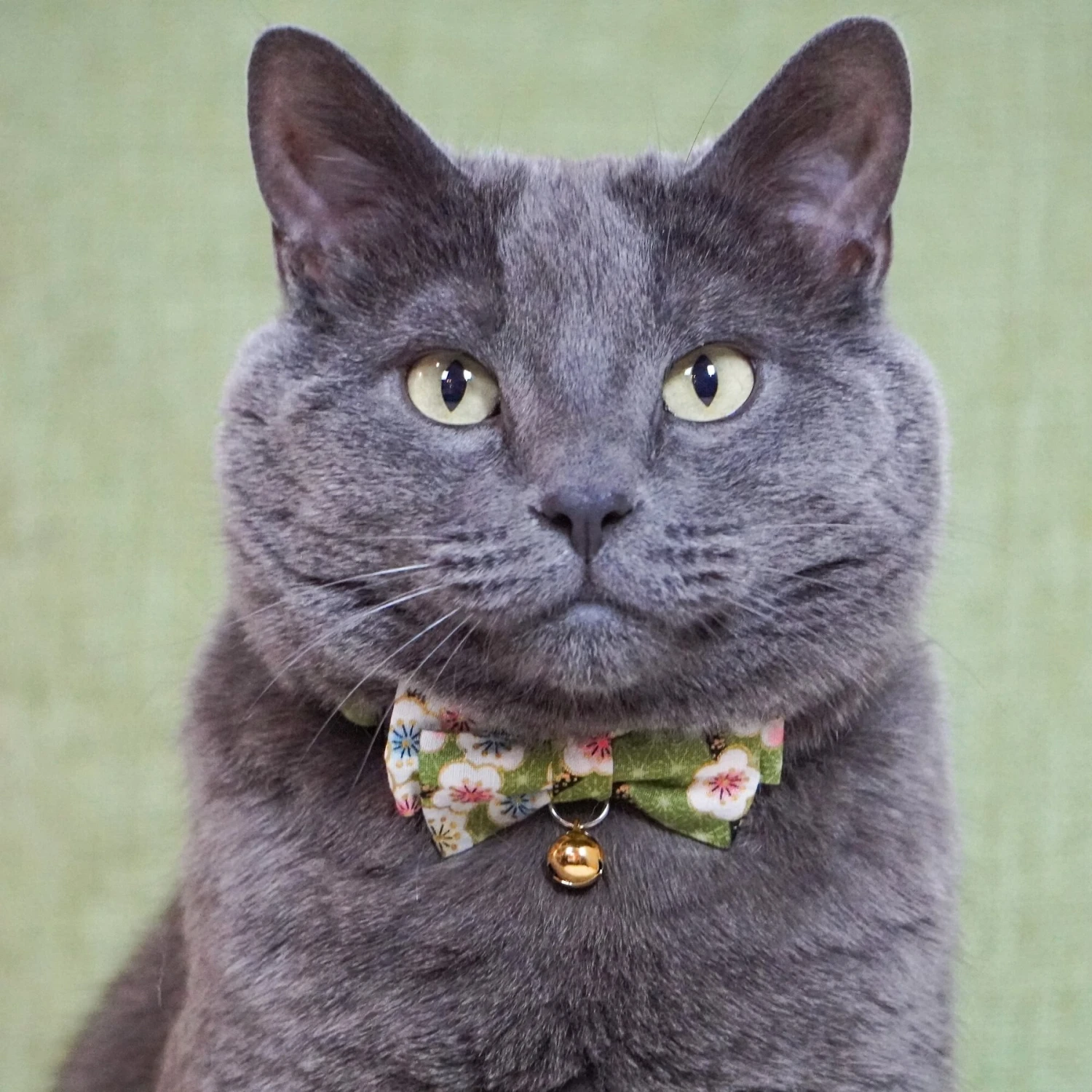 Necoichi Hanami Bow Tie Breakaway Cat Collar 8 Necoichi Hanami Bow Tie Breakaway Cat Collar - Image 6