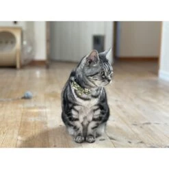 Necoichi Hanami Bow Tie Breakaway Cat Collar 16 Necoichi Hanami Bow Tie Breakaway Cat Collar -Blue Buffalo Shop 335355 PT6. AC SS1800 V1644911837