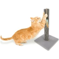 SmartyKat Simply Scratch Carpet Cat Scratch Post With Feather Cat Toy 12 SmartyKat Simply Scratch Carpet Cat Scratch Post With Feather Cat Toy -Blue Buffalo Shop 336393 PT4. AC SS1800 V1634310219