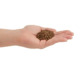 ACANA First Feast High-Protein Kitten Dry Cat Food, 4-lb Bag & Frisco Multi-Cat Unscented Clumping Clay Cat Litter -Blue Buffalo Shop 338643 PT3. AC SS1800 V1635909934