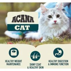 ACANA First Feast High-Protein Kitten Dry Cat Food, 4-lb Bag & Frisco Multi-Cat Unscented Clumping Clay Cat Litter -Blue Buffalo Shop 338643 PT4. AC SS1800 V1635899904