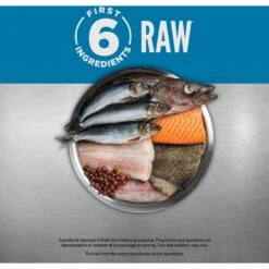 ORIJEN Six Fish Grain-Free Dry Cat Food & ORIJEN Six Fish Grain-Free Freeze-Dried Cat Treats, 1.25-oz Bag -Blue Buffalo Shop 338705 PT4. AC SS1800 V1689685841