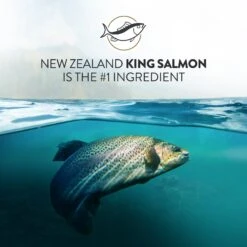 Addiction Grain-Free Salmon Bleu Dry Cat Food -Blue Buffalo Shop 342113 PT3. AC SS1800 V1635794791