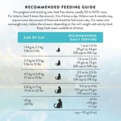 Addiction Grain-Free Salmon Bleu Dry Cat Food -Blue Buffalo Shop 342113 PT8. AC SS1800 V1635794195