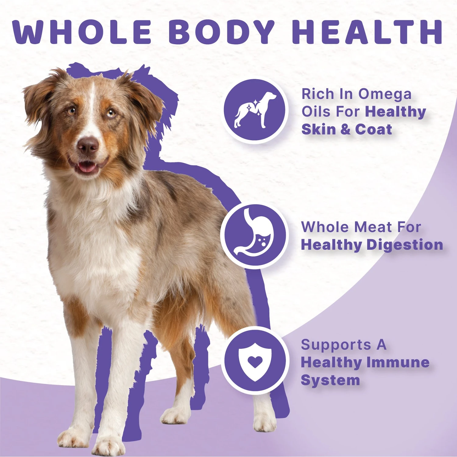 Halo Stew Variety Pack Canned Dog Food, 13.2-oz Can, Case Of 6 7 Halo Stew Variety Pack Canned Dog Food, 13.2-oz Can, Case Of 6 - Image 5