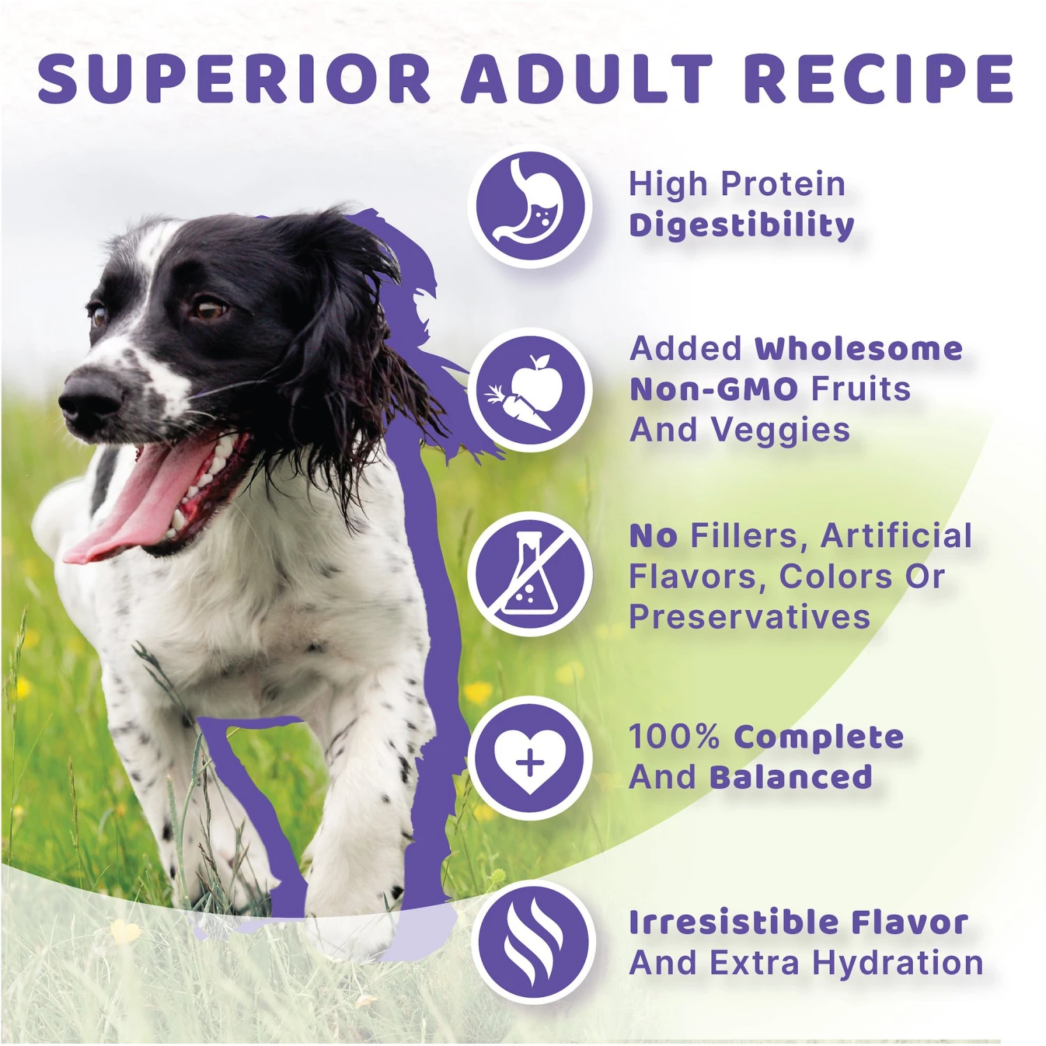 Halo Stew Variety Pack Canned Dog Food, 13.2-oz Can, Case Of 6 8 Halo Stew Variety Pack Canned Dog Food, 13.2-oz Can, Case Of 6 - Image 6