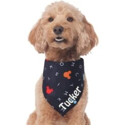 Disney "M-I-C-K-E-Y M-O-U-S-E" Personalized Dog & Cat Bandana -Blue Buffalo Shop 346374 PT3. AC SS1800 V1671228218
