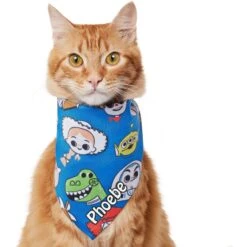 Pixar Toy Story Version2 Personalized Dog & Cat Bandana -Blue Buffalo Shop 346390 PT2. AC SS1800 V1671228213