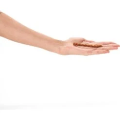 Tiny Tiger, Meaty Tenders Cat Treats, Salmon Recipe & Tiny Tiger, Natural Indoor Recipe Chicken Flavor Dry Cat Food 14 Tiny Tiger, Meaty Tenders Cat Treats, Salmon Recipe & Tiny Tiger, Natural Indoor Recipe Chicken Flavor Dry Cat Food -Blue Buffalo Shop 347710 PT3. AC SS1800 V1639546333