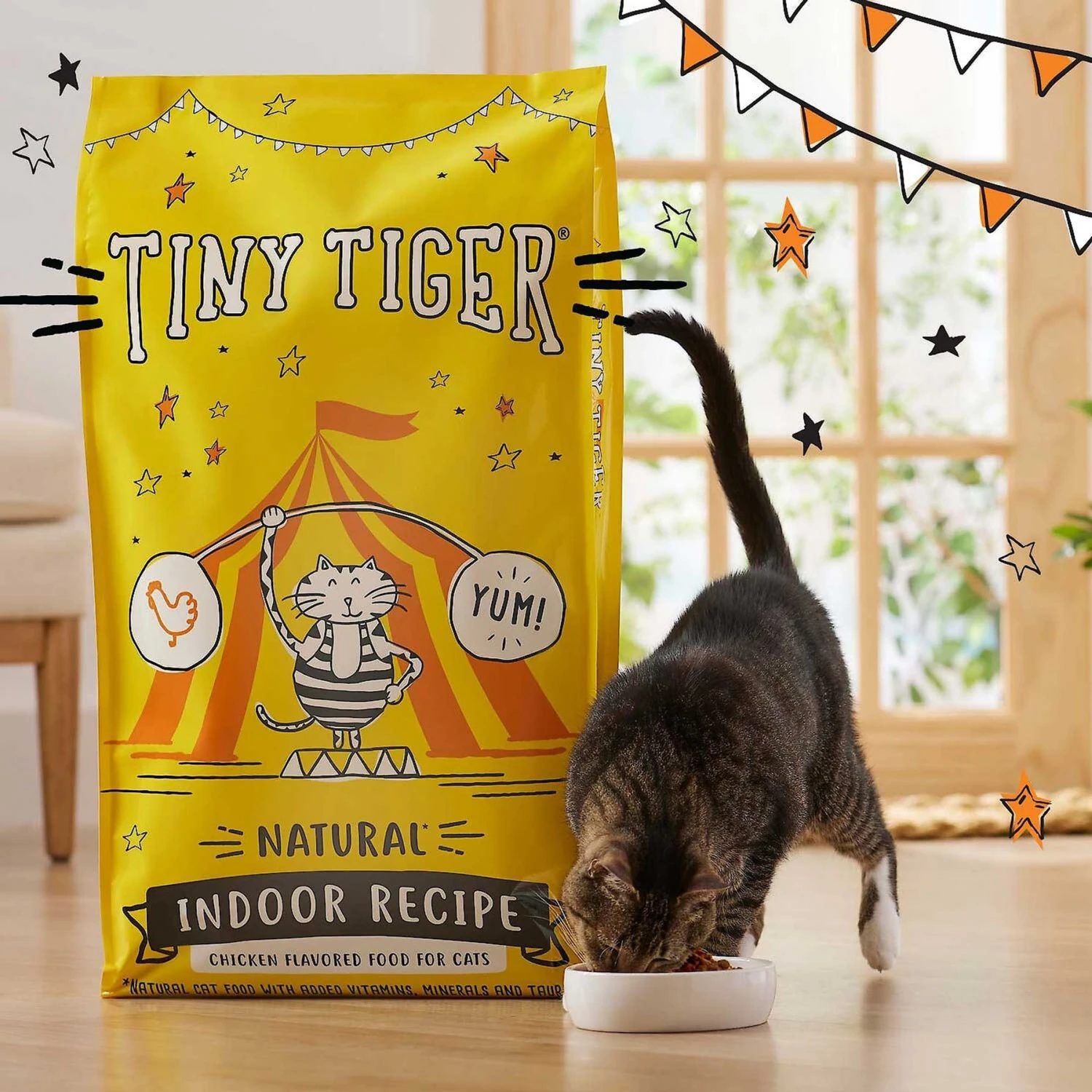 Tiny Tiger, Natural Indoor Recipe Chicken Flavor Dry Cat Food & Tiny Tiger Pate Chicken Recipe Grain-Free Canned Cat Food 6 Tiny Tiger, Natural Indoor Recipe Chicken Flavor Dry Cat Food & Tiny Tiger Pate Chicken Recipe Grain-Free Canned Cat Food - Image 4