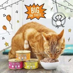 Tiny Tiger, Natural Indoor Recipe Chicken Flavor Dry Cat Food & Tiny Tiger Pate Chicken Recipe Grain-Free Canned Cat Food 18 Tiny Tiger, Natural Indoor Recipe Chicken Flavor Dry Cat Food & Tiny Tiger Pate Chicken Recipe Grain-Free Canned Cat Food -Blue Buffalo Shop 347716 PT7. AC SS1800 V1639520503