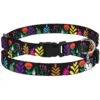 CollarDirect Floral Design Pattern Nylon Cat Collar -Blue Buffalo Shop 347999 MAIN. AC SS1800 V1639791706