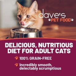 Dave's Pet Food Saucey Pate Chicken & Beef Recipe Wet Cat Food, 5.5-oz Can, Case Of 24 6 Dave's Pet Food Saucey Pate Chicken & Beef Recipe Wet Cat Food, 5.5-oz Can, Case Of 24 -Blue Buffalo Shop 352421 PT1. AC SS1800 V1640271707