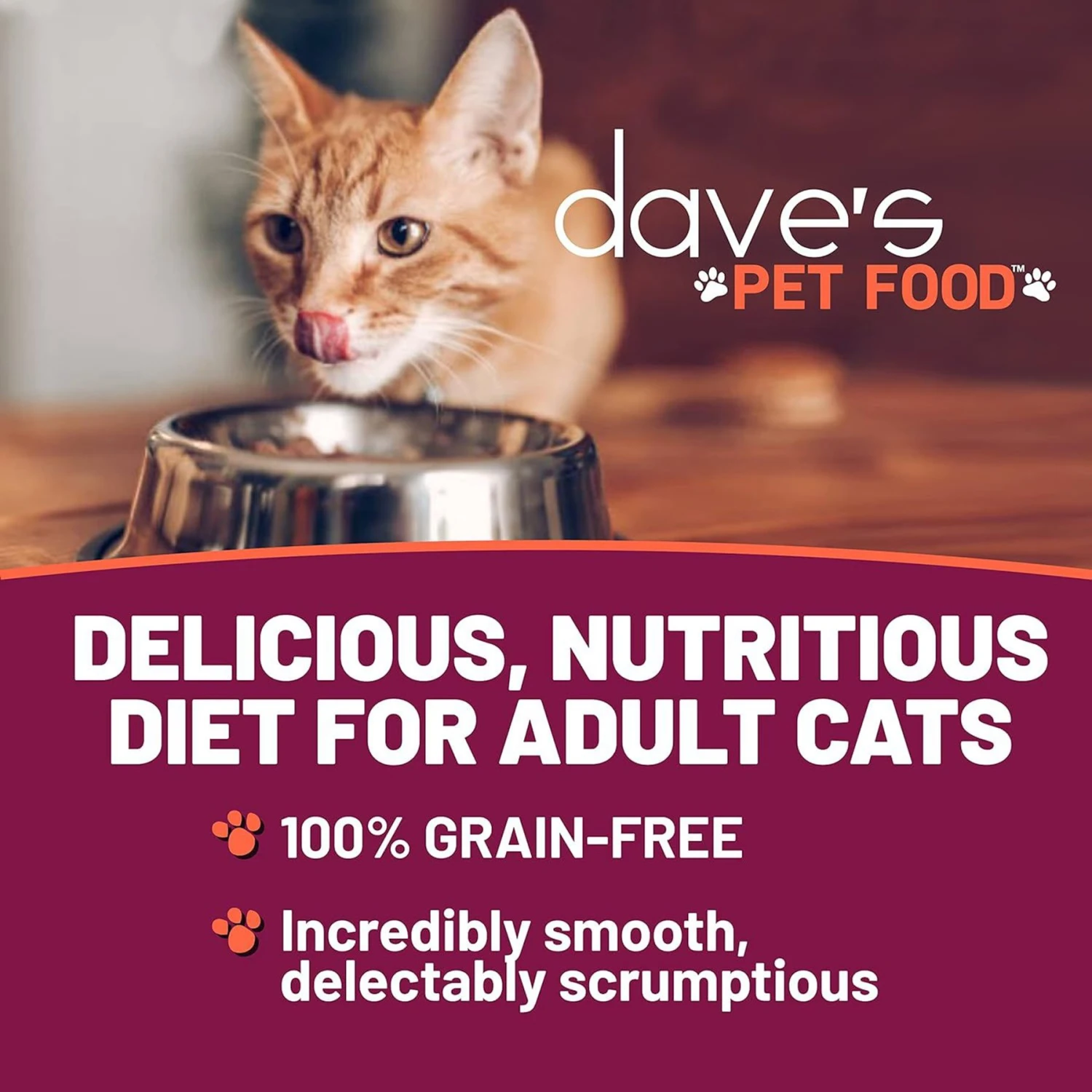 Dave's Pet Food Saucey Pate Chicken & Beef Recipe Wet Cat Food, 5.5-oz Can, Case Of 24 4 Dave's Pet Food Saucey Pate Chicken & Beef Recipe Wet Cat Food, 5.5-oz Can, Case Of 24 - Image 2