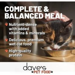 Dave's Pet Food Shredded Chicken & Beef Dinner In Gravy Recipe Wet Cat Food, 2.8-oz Can, Case Of 24 -Blue Buffalo Shop 352431 PT2. AC SS1800 V1640271691