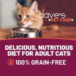 Dave's Pet Food Shredded Chicken & Ocean Whitefish Dinner In Gravy Recipe Wet Cat Food, 2.8-oz Can, Case Of 24 6 Dave's Pet Food Shredded Chicken & Ocean Whitefish Dinner In Gravy Recipe Wet Cat Food, 2.8-oz Can, Case Of 24 -Blue Buffalo Shop 352439 PT1. AC SS1800 V1640271683