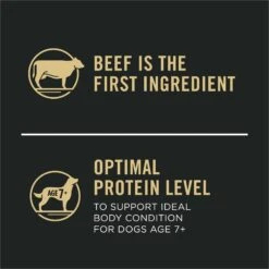 Purina Pro Plan 7+ Complete Essentials Shredded Blend Beef & Rice Formula High Protein Dog Food 17 Purina Pro Plan 7+ Complete Essentials Shredded Blend Beef & Rice Formula High Protein Dog Food -Blue Buffalo Shop 352980 PT6. AC SS1800 V1649201226