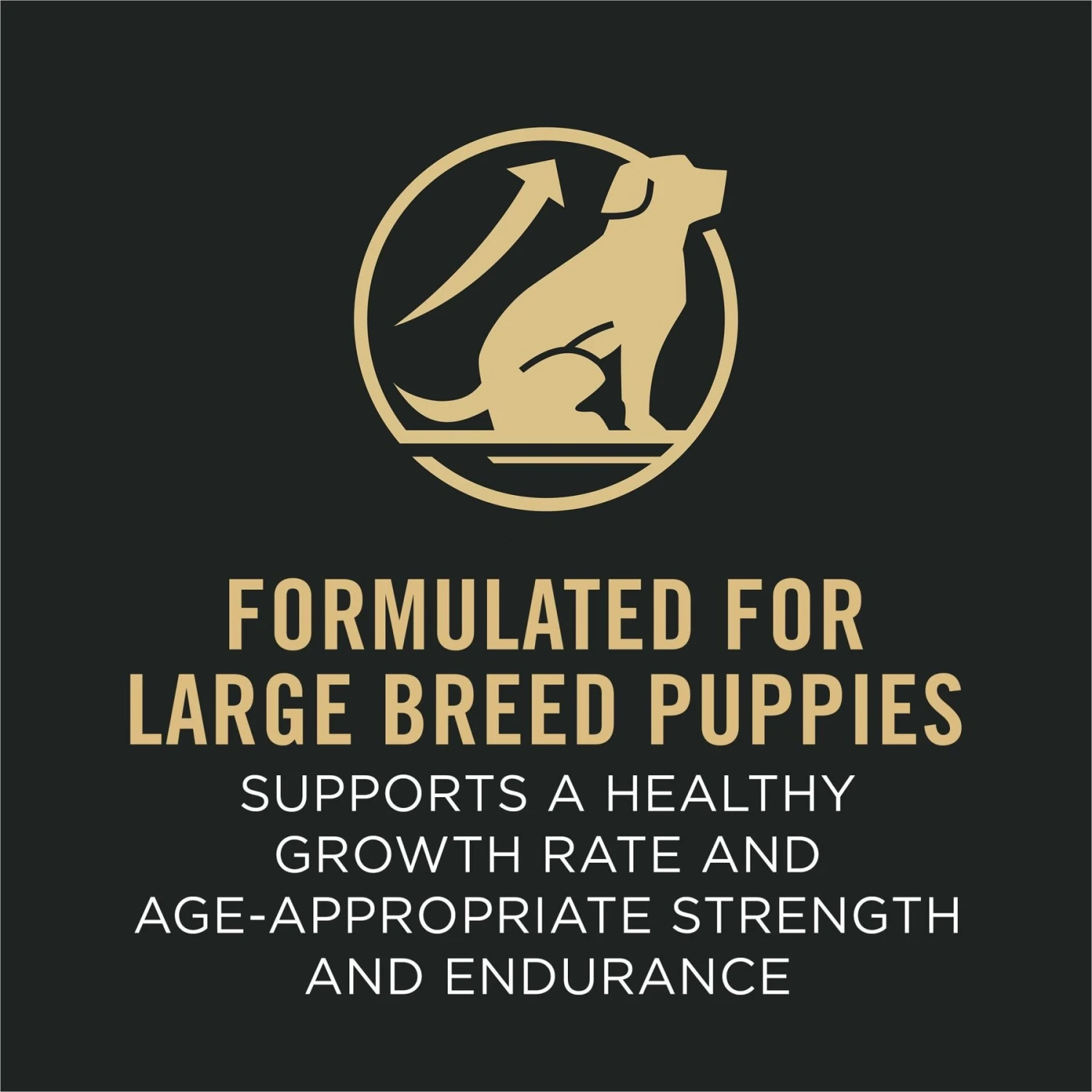 Purina Pro Plan Sport Development Large Breed High-Protein 30/18 Chicken & Rice Formula Puppy Food 7 Purina Pro Plan Sport Development Large Breed High-Protein 30/18 Chicken & Rice Formula Puppy Food - Image 5