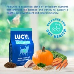 Lucy Pet Products Duck Pumpkin & Quinoa Small Bites Dog Food, 4.5-lbs Bag -Blue Buffalo Shop 353157 PT2. AC SS1800 V1641580371