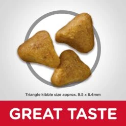 Hill's Science Diet Adult Urinary Hairball Control Dry Cat Food & Hill's Science Diet Adult Healthy Cuisine Roasted Chicken & Rice Medley Canned Cat Food 14 Hill's Science Diet Adult Urinary Hairball Control Dry Cat Food & Hill's Science Diet Adult Healthy Cuisine Roasted Chicken & Rice Medley Canned Cat Food -Blue Buffalo Shop 353421 PT3. AC SS1800 V1639544489