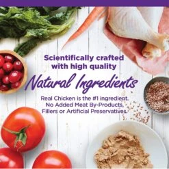 Wellness Complete Health Natural Grain-Free Deboned Chicken & Chicken Meal Dry Kitten Food & Wellness Complete Health Kitten Variety Pack Grain-Free Canned Cat Food, 3-oz, Case Of 12 17 Wellness Complete Health Natural Grain-Free Deboned Chicken & Chicken Meal Dry Kitten Food & Wellness Complete Health Kitten Variety Pack Grain-Free Canned Cat Food, 3-oz, Case Of 12 -Blue Buffalo Shop 353443 PT6. AC SS1800 V1639543894