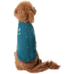 Frisco Teal Button Down Dog & Cat Sweater -Blue Buffalo Shop 353580 PT2. AC SS1800 V1659006937