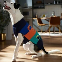 Frisco Anaconda Cheetah Colorblock Dog & Cat Sweater -Blue Buffalo Shop 353596 PT7. AC SS1800 V1660749560