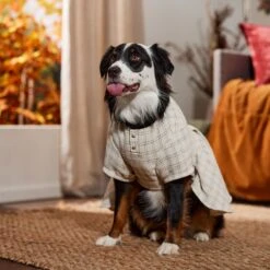 Frisco Tweed Weave Ruffle Skirt Dog & Cat Dress -Blue Buffalo Shop 353649 PT6. AC SS1800 V1660750168