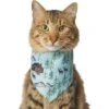 Frisco Moose Lodge Dog & Cat Bandana 2 Frisco Moose Lodge Dog & Cat Bandana -Blue Buffalo Shop 353774 MAIN. AC SS1800 V1659008187