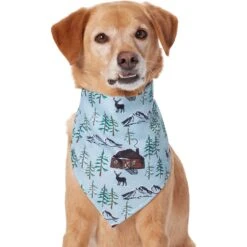 Frisco Moose Lodge Dog & Cat Bandana -Blue Buffalo Shop 353774 PT2. AC SS1800 V1659008241
