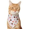 Frisco Apple Dog & Cat Bandana -Blue Buffalo Shop 353786 MAIN. AC SS1800 V1659011013