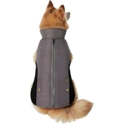 Frisco Mediumweight Faux Zipper Dog & Cat Jacket 12 Frisco Mediumweight Faux Zipper Dog & Cat Jacket -Blue Buffalo Shop 353817 PT2. AC SS1800 V1659010334