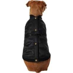 Frisco Lightweight Belted Puffer Dog & Cat Jacket -Blue Buffalo Shop 353825 PT2. AC SS1800 V1659010815