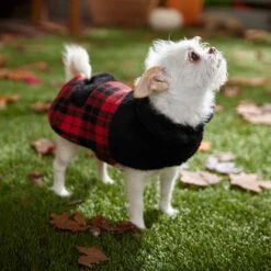 Frisco Mediumweight Plaid Faux Fur Dog & Cat Jacket -Blue Buffalo Shop 353847 PT7. AC SS1800 V1661274842