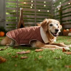 Frisco Mid-Heavyweight Fleece Lined Quilted Dog & Cat Coat -Blue Buffalo Shop 353877 PT7. AC SS1800 V1660750171