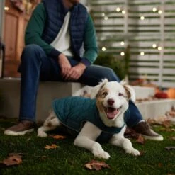 Frisco Mediumweight Reversible Dog & Cat Coat 16 Frisco Mediumweight Reversible Dog & Cat Coat -Blue Buffalo Shop 353932 PT7. AC SS1800 V1660749442