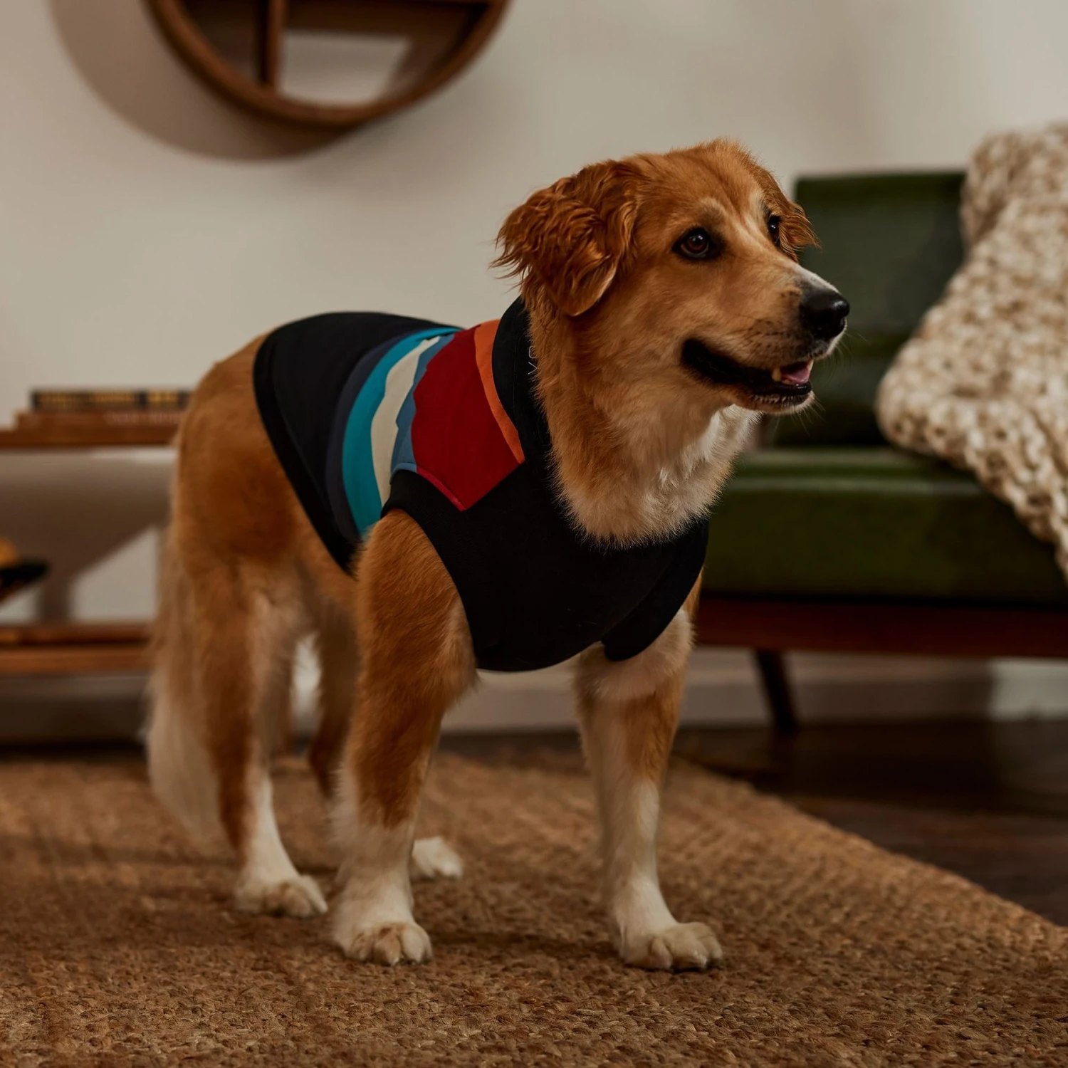 STAR WARS Retro Fleece Dog & Cat Hoodie 9 STAR WARS Retro Fleece Dog & Cat Hoodie - Image 7