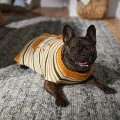 Disney Winnie The Pooh Dog & Cat Faux Cardigan -Blue Buffalo Shop 354036 PT7. AC SS1800 V1660749564