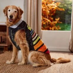 STAR WARS Lightweight Retro Dog & Cat Fleece Vest -Blue Buffalo Shop 354052 PT7. AC SS1800 V1660749933