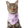 Disney Frozen Pattern Dog & Cat Bandana