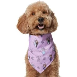 Disney Frozen Pattern Dog & Cat Bandana 11 Disney Frozen Pattern Dog & Cat Bandana -Blue Buffalo Shop 354062 PT2. AC SS1800 V1658955245