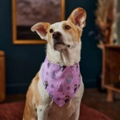Disney Frozen Pattern Dog & Cat Bandana 14 Disney Frozen Pattern Dog & Cat Bandana -Blue Buffalo Shop 354062 PT6. AC SS1800 V1660750168