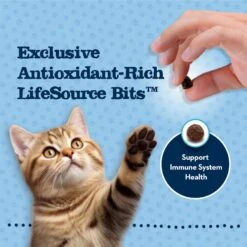 Blue Buffalo Baby Blue Healthy Growth Formula Grain-Free High Protein Chicken & Pea Recipe Kitten Dry Food -Blue Buffalo Shop 354158 PT6. AC SS1800 V1641338239