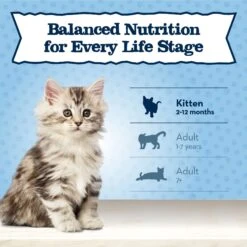Blue Buffalo Baby Blue Healthy Growth Formula Grain-Free High Protein Chicken & Pea Recipe Kitten Dry Food -Blue Buffalo Shop 354158 PT7. AC SS1800 V1641334592