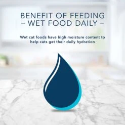 Blue Buffalo Tastefuls Spoonless Singles Chicken Entrée Pate Adult Cat Food, 2.6-oz Cup, Case Of 24 17 Blue Buffalo Tastefuls Spoonless Singles Chicken Entrée Pate Adult Cat Food, 2.6-oz Cup, Case Of 24 -Blue Buffalo Shop 354411 PT8. AC SS1800 V1642009048