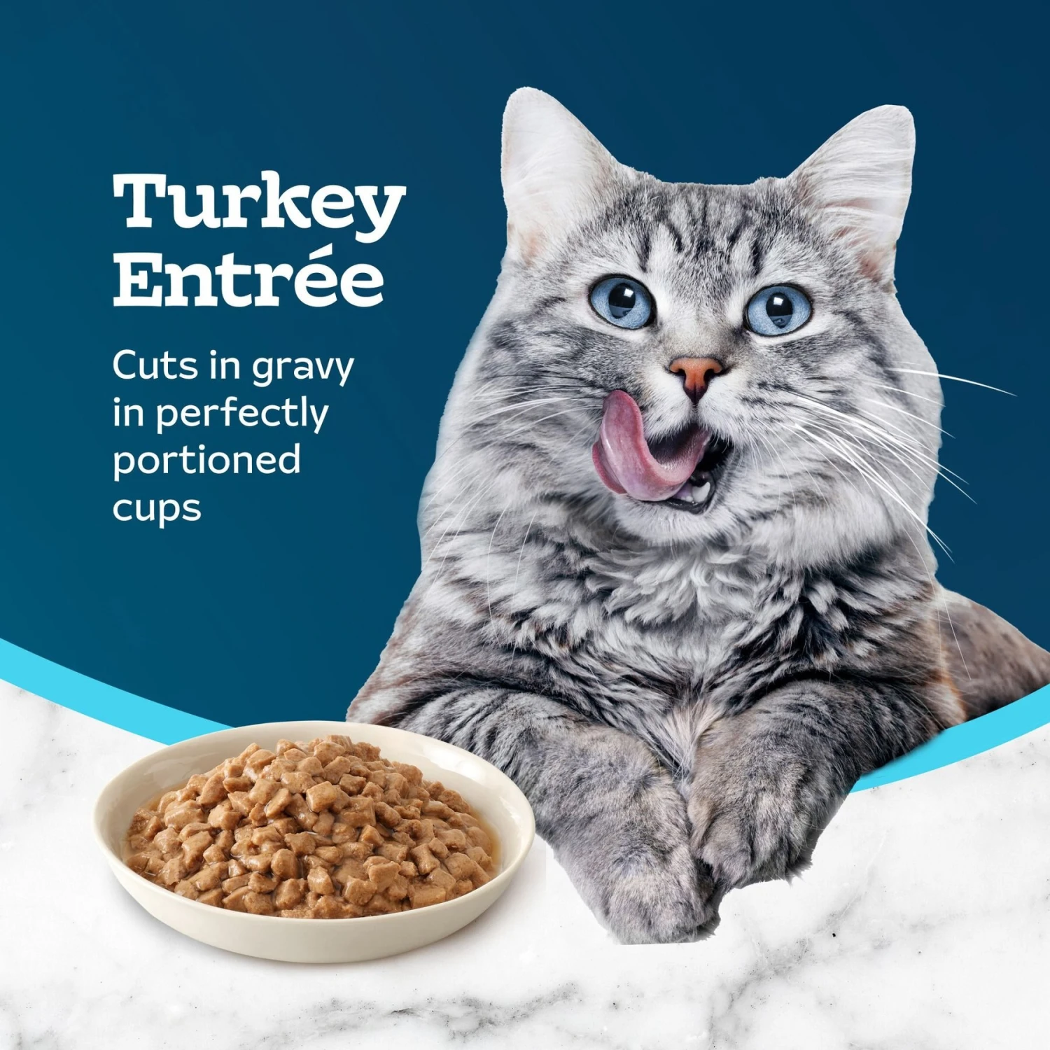 Blue Buffalo Tastefuls Savory Singles Turkey Entrée Cuts In Gravy Adult Cat Food, 2.6-oz Cup, Case Of 24 5 Blue Buffalo Tastefuls Savory Singles Turkey Entrée Cuts In Gravy Adult Cat Food, 2.6-oz Cup, Case Of 24 - Image 3