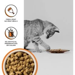 BIXBI RAWBBLE Chicken Recipe Grain-Free Freeze-Dried Cat Food -Blue Buffalo Shop 355136 PT2. AC SS1800 V1668735699