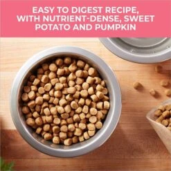 Nature's Recipe Grain-Free Salmon, Sweet Potato & Pumpkin Recipe Dry Dog Food 11 Nature's Recipe Grain-Free Salmon, Sweet Potato & Pumpkin Recipe Dry Dog Food -Blue Buffalo Shop 355834 PT2. AC SS1800 V1640643409