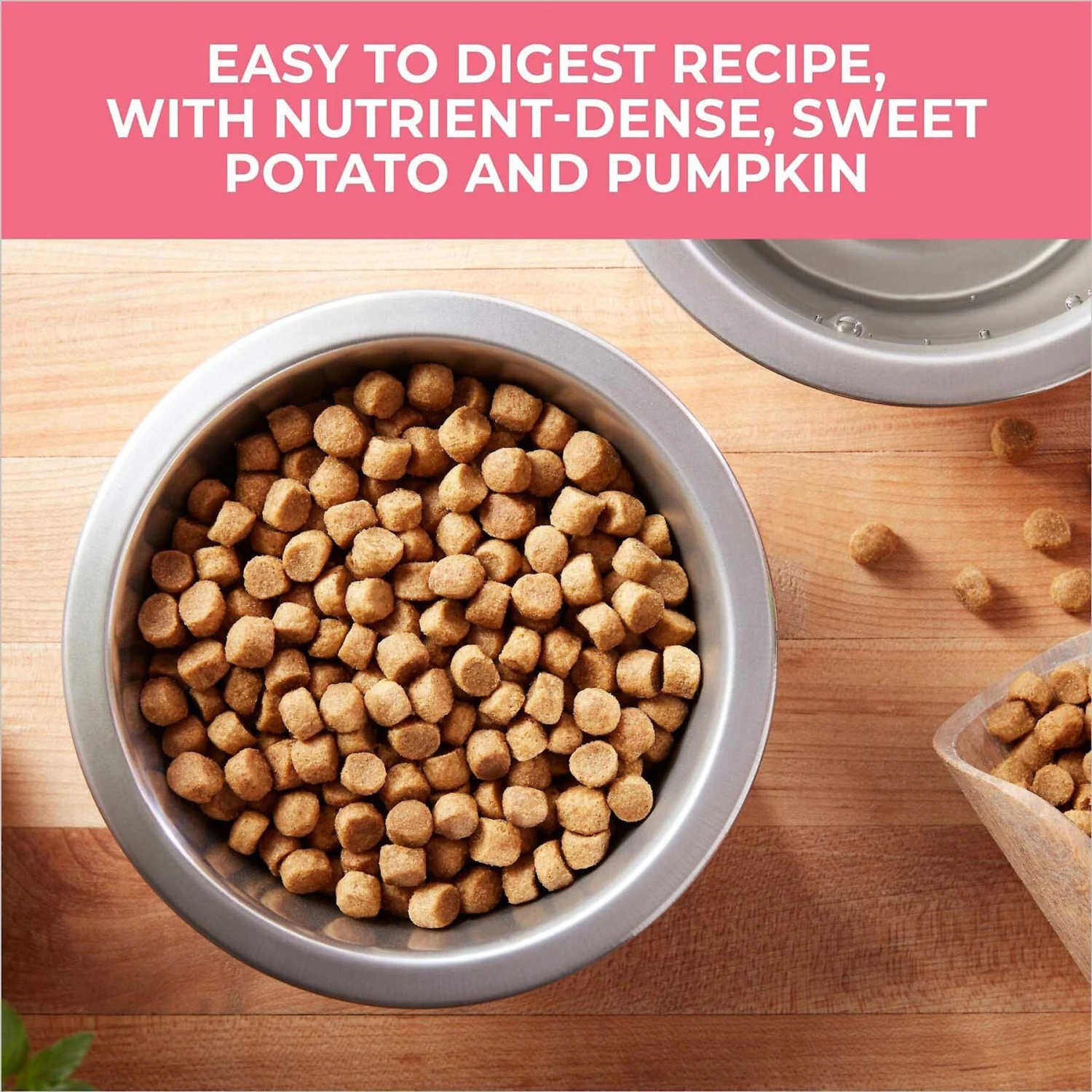 Nature's Recipe Grain-Free Salmon, Sweet Potato & Pumpkin Recipe Dry Dog Food 5 Nature's Recipe Grain-Free Salmon, Sweet Potato & Pumpkin Recipe Dry Dog Food - Image 3